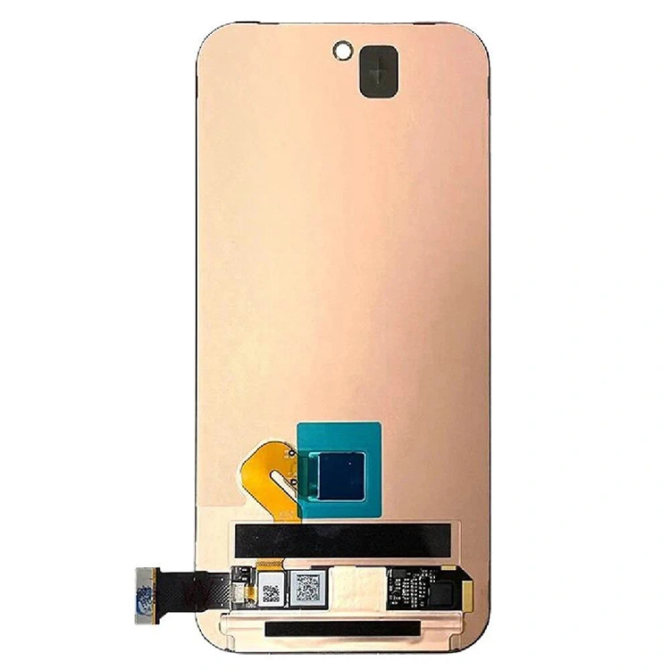 Pixel 9 LCD zasloni