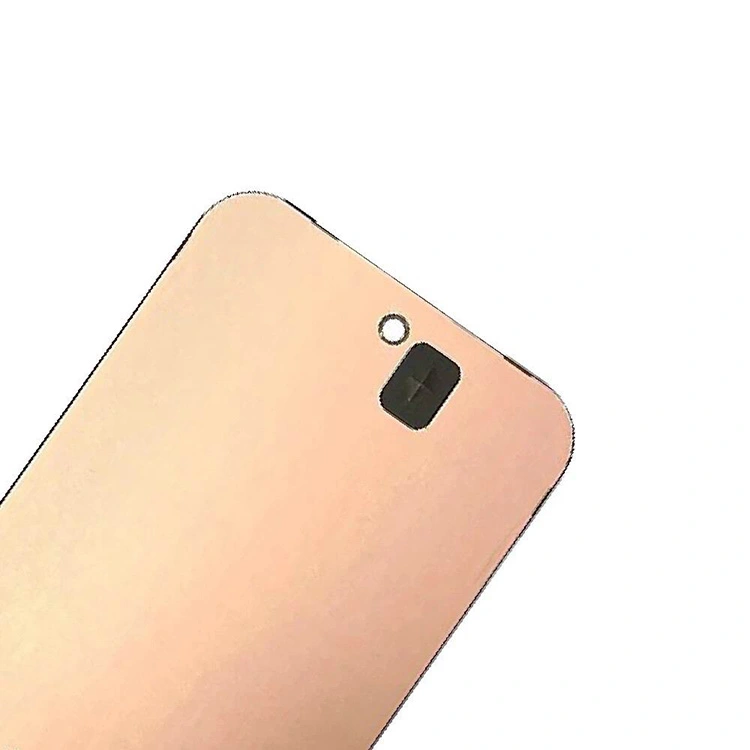 Pixel 9 LCD zasloni