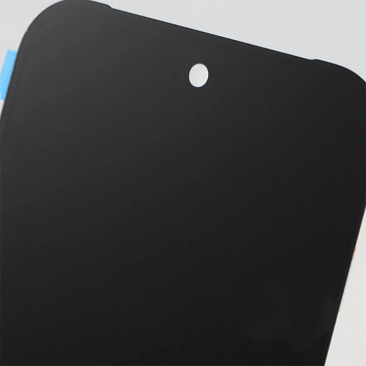 Pixel 9 Pro LCD zasloni